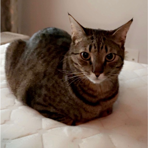 Meet your Posher, Carlos - Picture 1 of 1
